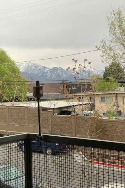 Airbnb Review: Salt Lake City Airbnb – 3 Day Stay