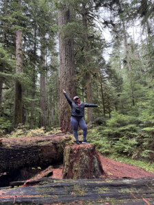 Trail in the wooded forest of Mt. Rainier National Park